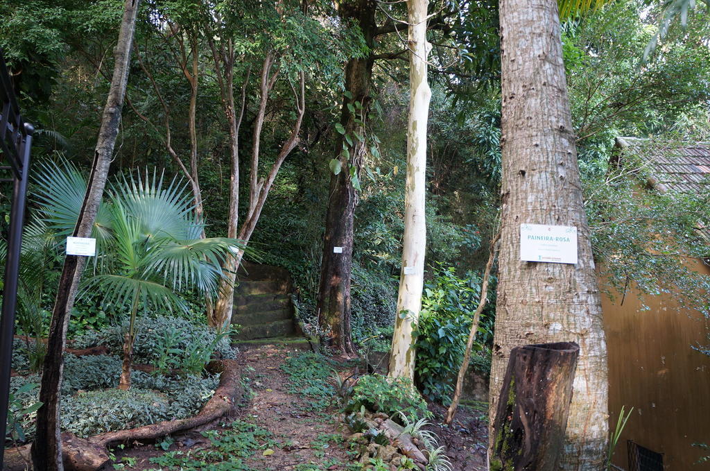 Casa Caminho Do Corcovado Nearchrist Redeemer Statue Ріо-де-Жанейро Екстер'єр фото